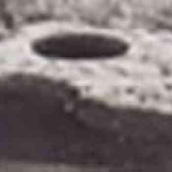 Click para ampliar. Pulsa en el nombre para ver la ficha. macrocandelilla de Berxería